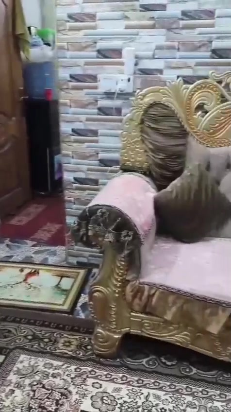 غراض بيت للبيع كلمن وسعرة الاسعار بل صور مكاني بغداد طوبجي