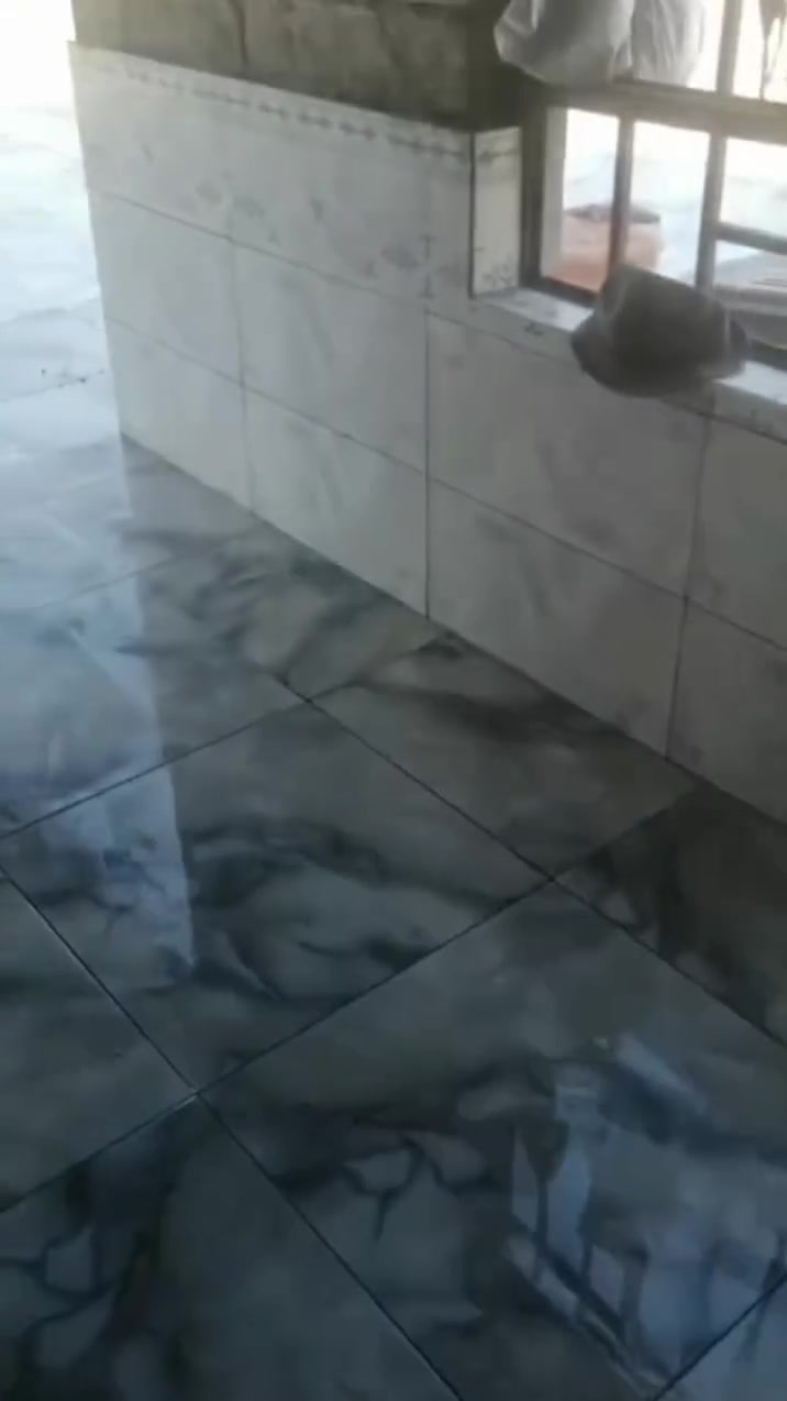 سلام اسطه سيراميك جدار ارضي متفرغ حاليا ***********/***********

