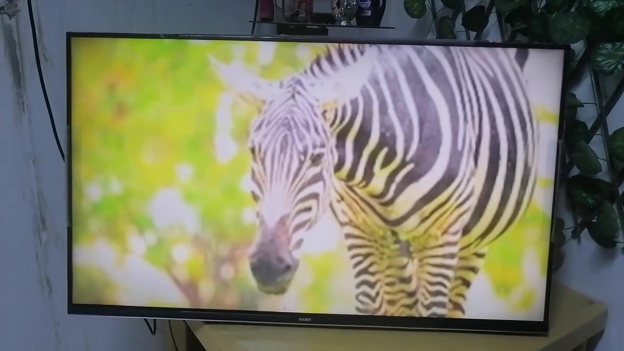 شاشه حجم 43 سمارت فول نت للبيع مكاني نجف كوفه شارع المعمل يم جامع الخزاعل وتساب ***********
