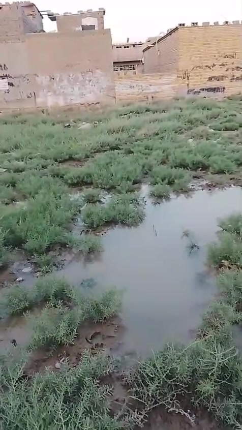 السلام عليكم قطعه ارض للبيع 200 متر منطقه حي البتول الزراعي بدايه شارع بيت دايش ع اليسره سعر 200 متر 26 بيهه مجال واليريد 100 ب 13 مابيهه مجال للاستفسار علـّۓ  الرقم ***********
