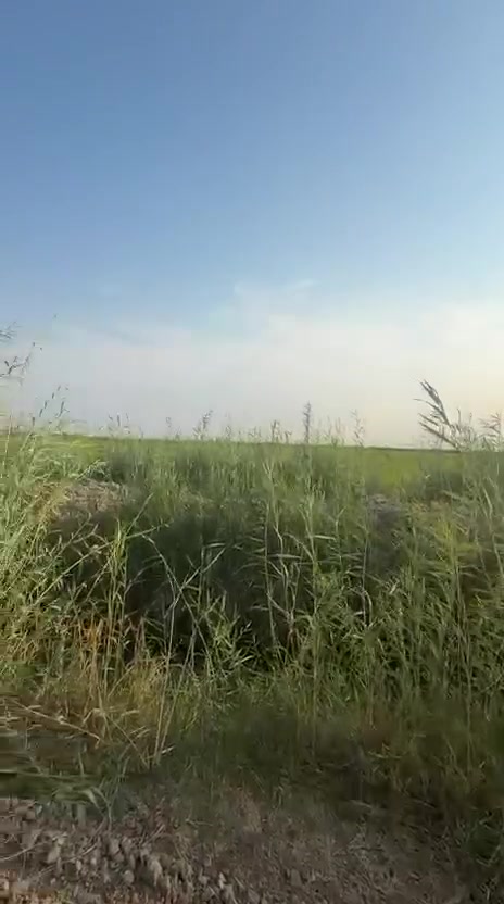 السلام عليكم كاع طابو زراعي ق 25 قرب الطاقه  مساحة الكاع  13 دونم  ملاحضه الكاع جيده تزرع صيفي شتوي  يوجد ماء + كهرباء   تحويل  مباشر    ***********
