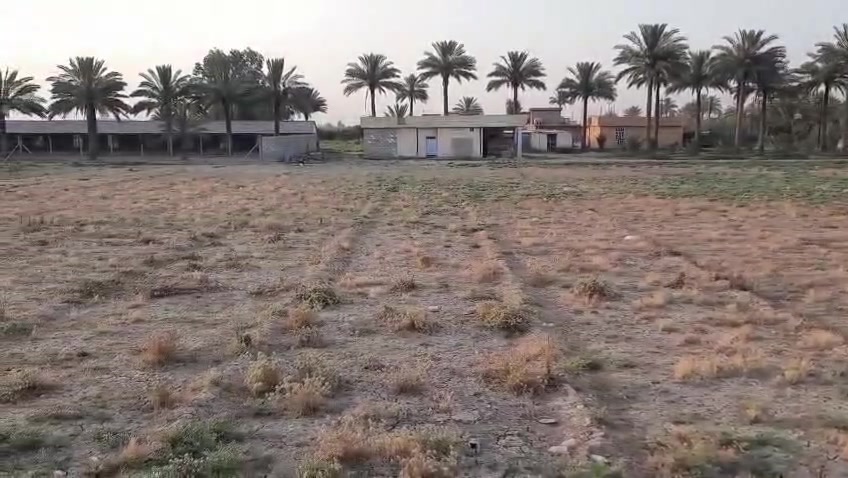 سند • زراعي • قرب العبايجي
