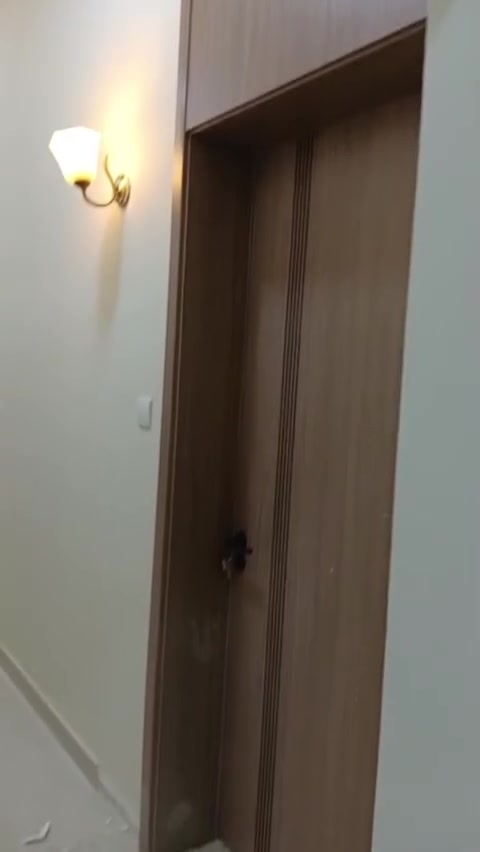 عمل. جميع الأبواب التركيه والباب القاصه مكاني البصره شارع بشار للتواصل ***********
