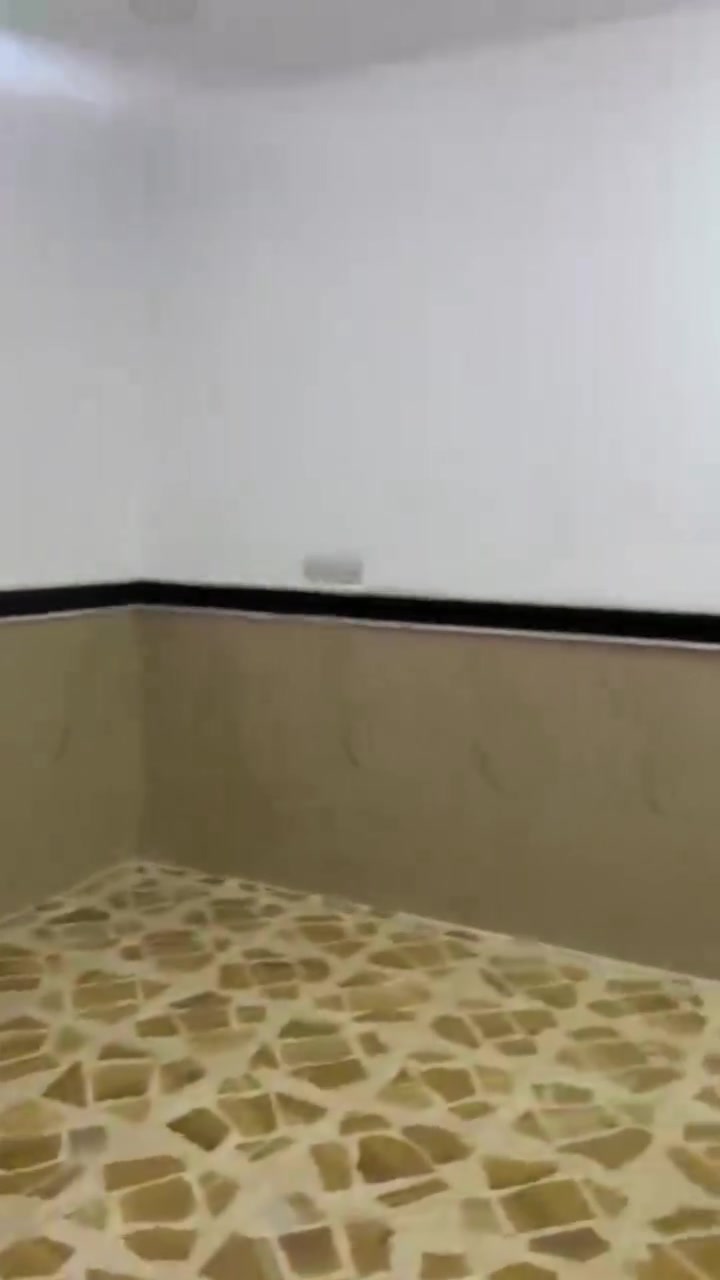 العمارة • ١٥٠م • مؤجر موظف