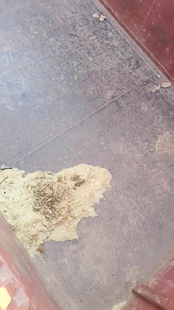 بیع بودي اسكانيا طول 7 نص مکان اربیل قضاء خبات *********** واتساب
