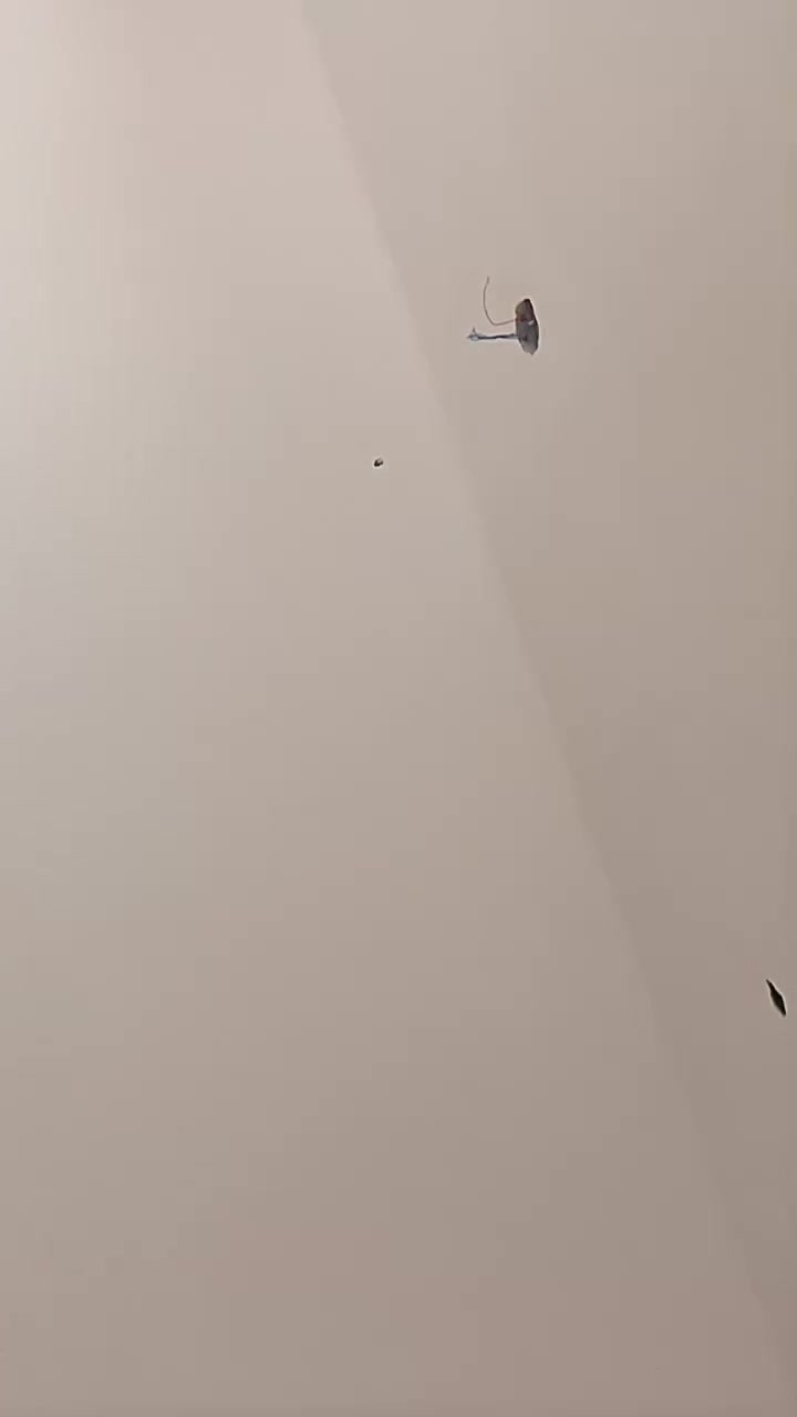 جص بورك لبخ • شغل هندسي • الطارمية