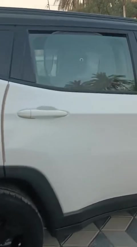 جيب كومباس ٢٠١٩
ماشية ٢٩ ميل 
١١٥$

للتواصل / ***********
