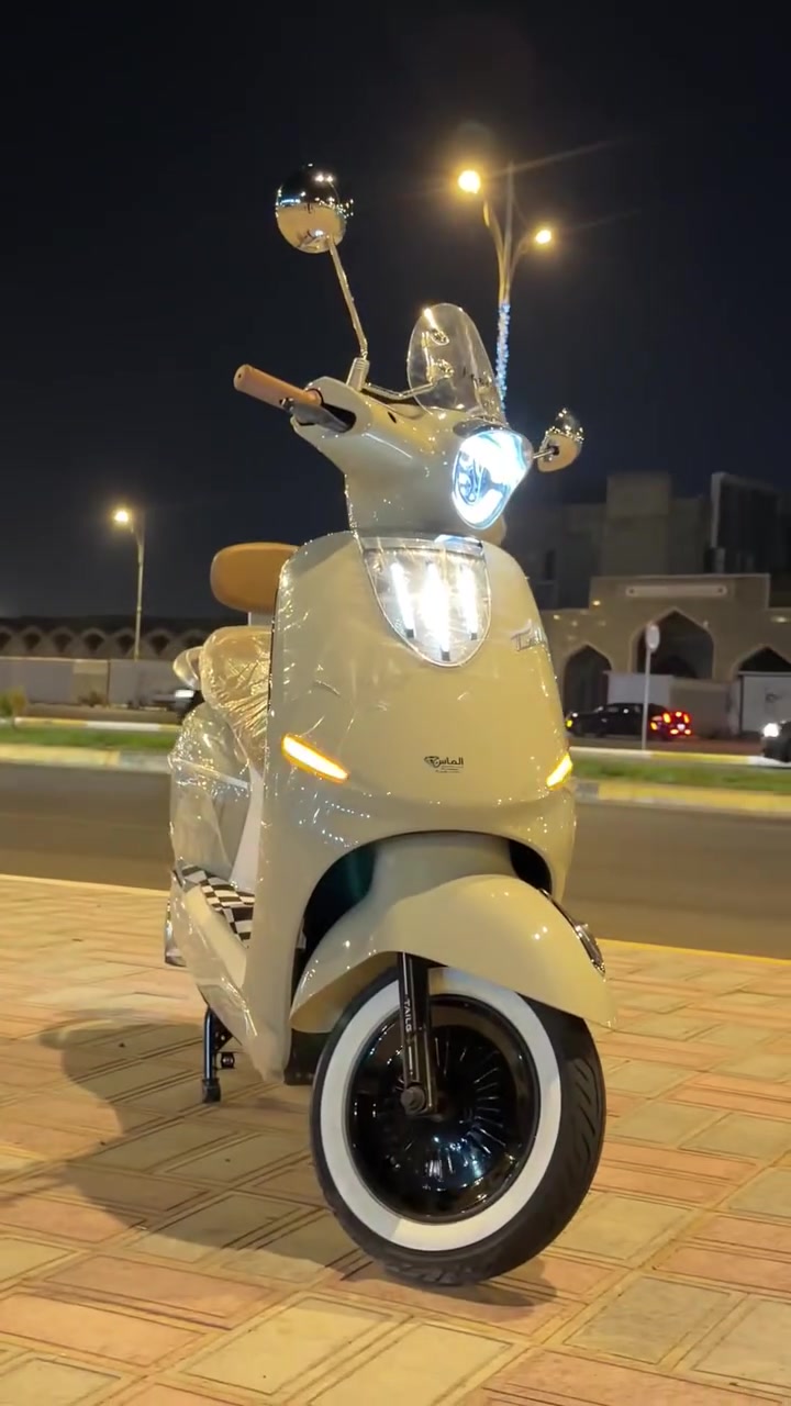 TAILG • كلاسك ايطالي • تقسيط