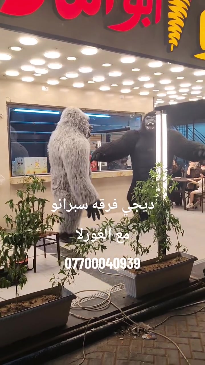 فرقه سبرانو🎺🥁 لاحياء جميع الاعراس والمناسبات🎺 تزيين سيارات الاعراس🎺 تأجير الغوريلا🐒 للحجز💯 ***********
