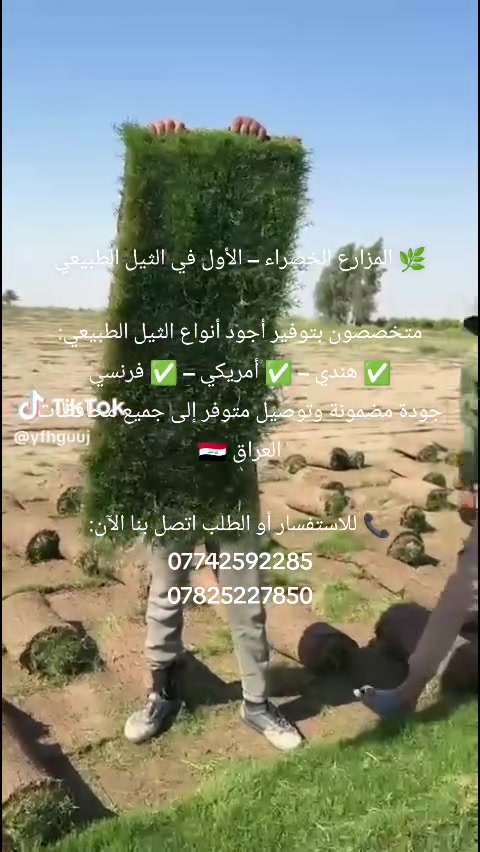 ‏‪***********‬‏
