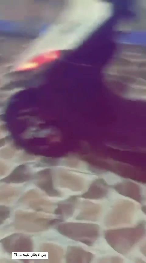 ماكس عدله • بوشه ٥٥ • كلشي شغال