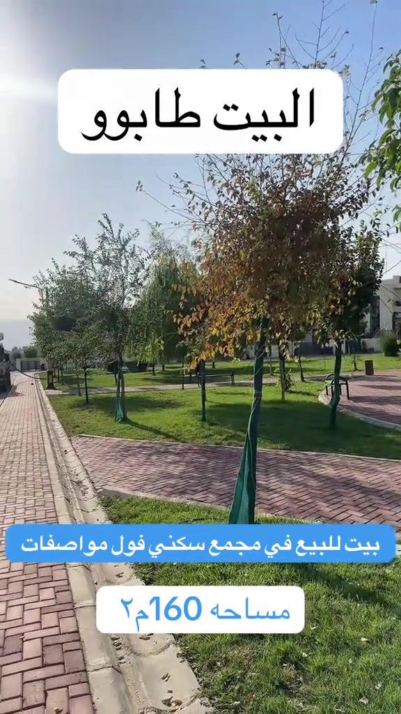 زيتون • توب هاوس • ١٦٠م