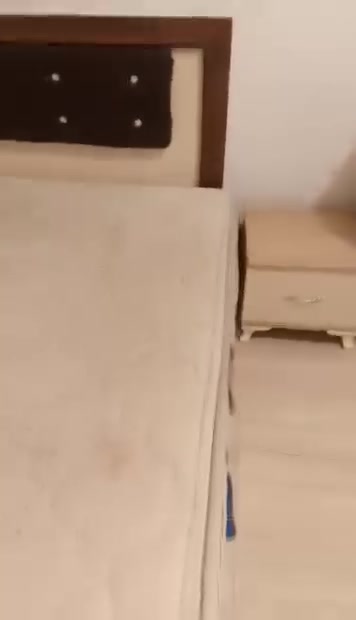 لا توجد تفاصيل
