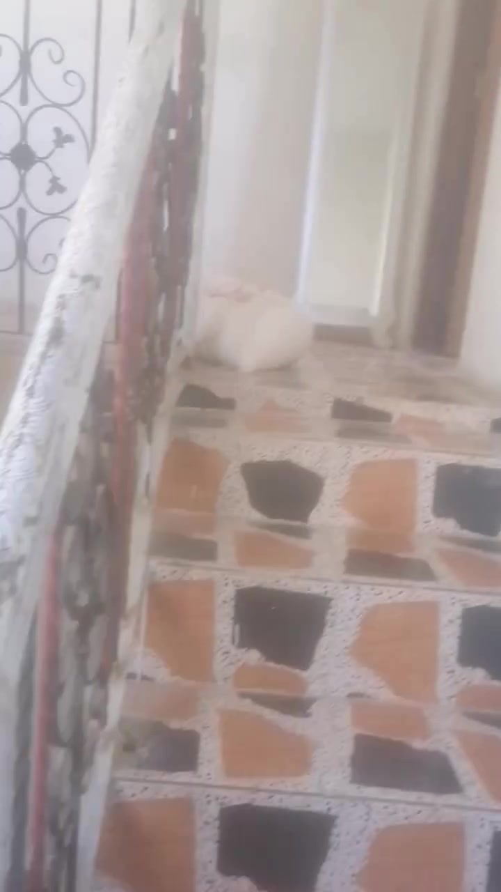 نزله للحمام • ٥٠م • ٣ طوابق