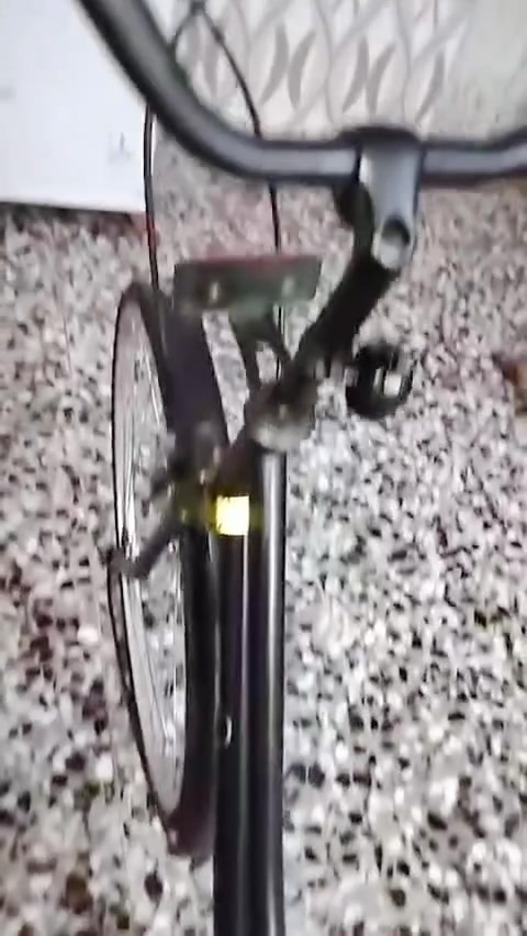 باسكل • نضيف • عكرب