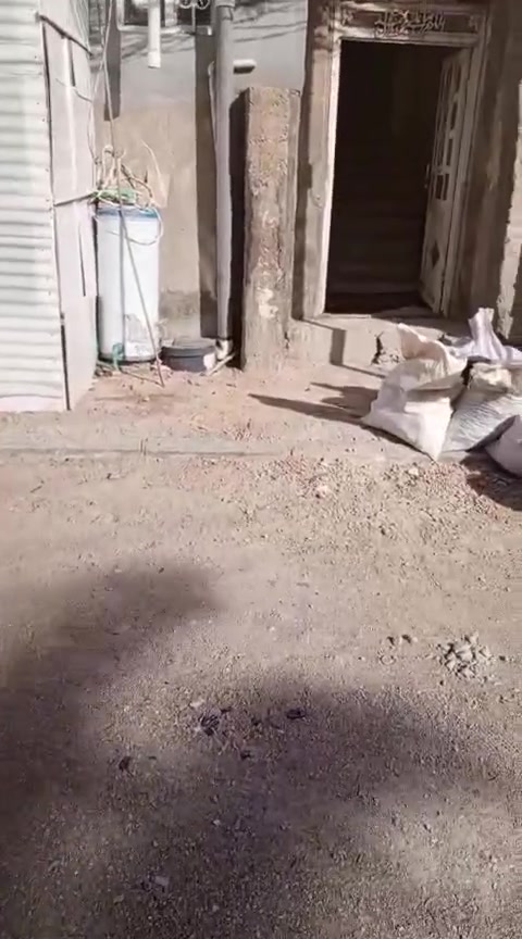 سلام عليكم شقه للايجار كربلاء حي العسكري خلف صيدليه الرونق  اايجارها 200 قفل 
ي استفسار على هذا الرقم  ***********
