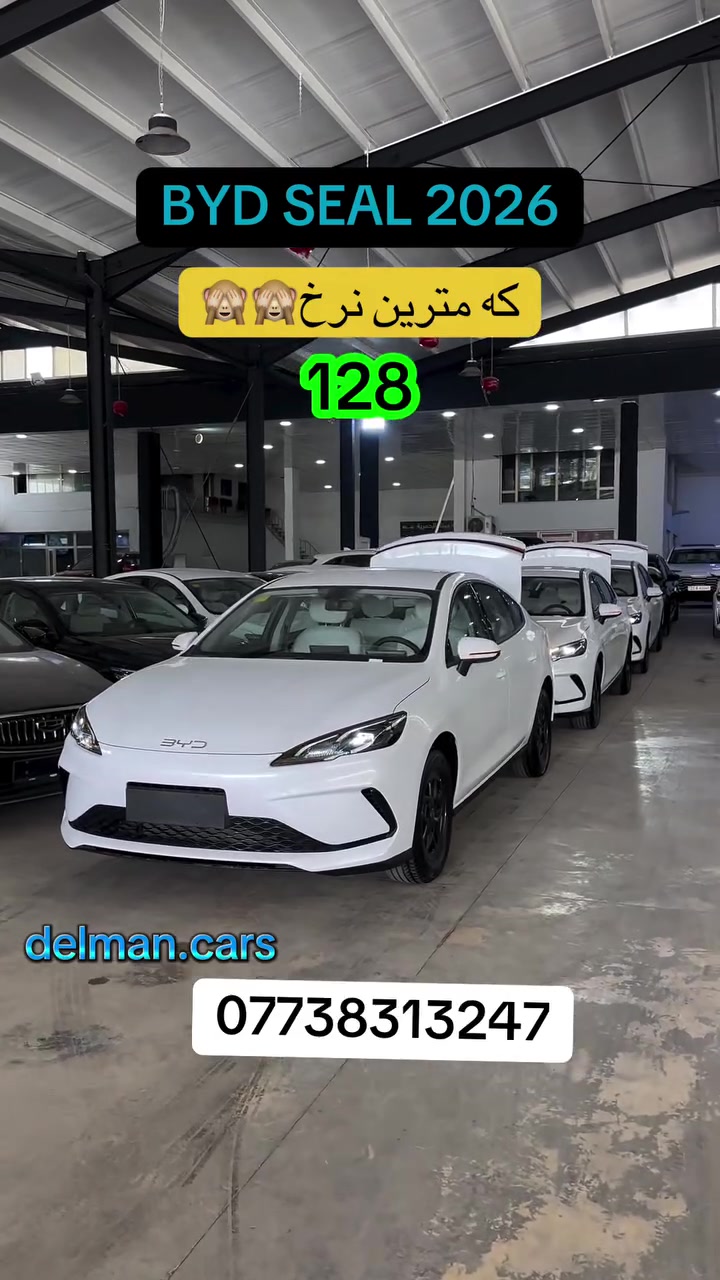 بي واي دي سيل • موديل ٢٠٢٦