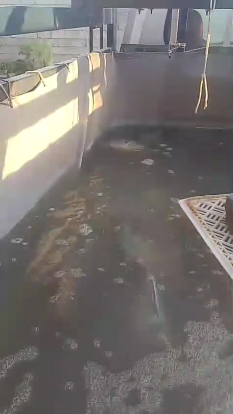 🐟 محل أبو أمير للجوادر 🐟

🚜 عمل جميع أنواع الأحواض المائية
الخاصة بالمرشات الزراعية ولتربية الأسماك 🐠
كما يتوفر عمل أحواض لنقل وبيع الأسماك لجميع أنواع السيارات 🚚

✅ تصنيع حسب القياسات المطلوبة
✅ مشمع درجة أولى
✅ جودة ومتانة عالية
✅ تفصيل حسب الطلب

📲 للتواصل والطلب:
***********
***********

#العراق #بغداد #البصرة #ديالى #المتابعين #الجميع
