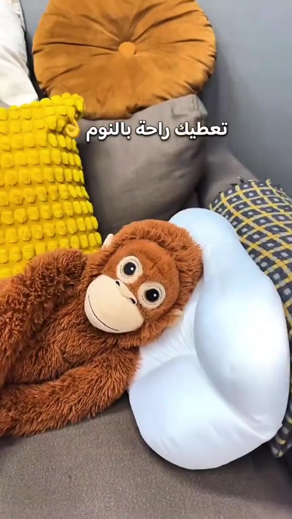 عرض خاص بس ب١٠ الف الكم مخدة طبية جودة المنتج رهيبة مريحة جدا سهولة الاستخدام مفيدة سعر المنتج ١٠ الف فقط للحجز راسل واتساب *********** متوفرة بالفرعين فرع الأول بغداد القاهرة مقابل مول القاهرة الفرع الثاني بغداد شارع الصناعة مجاور الجامعة التكنولوجيا
