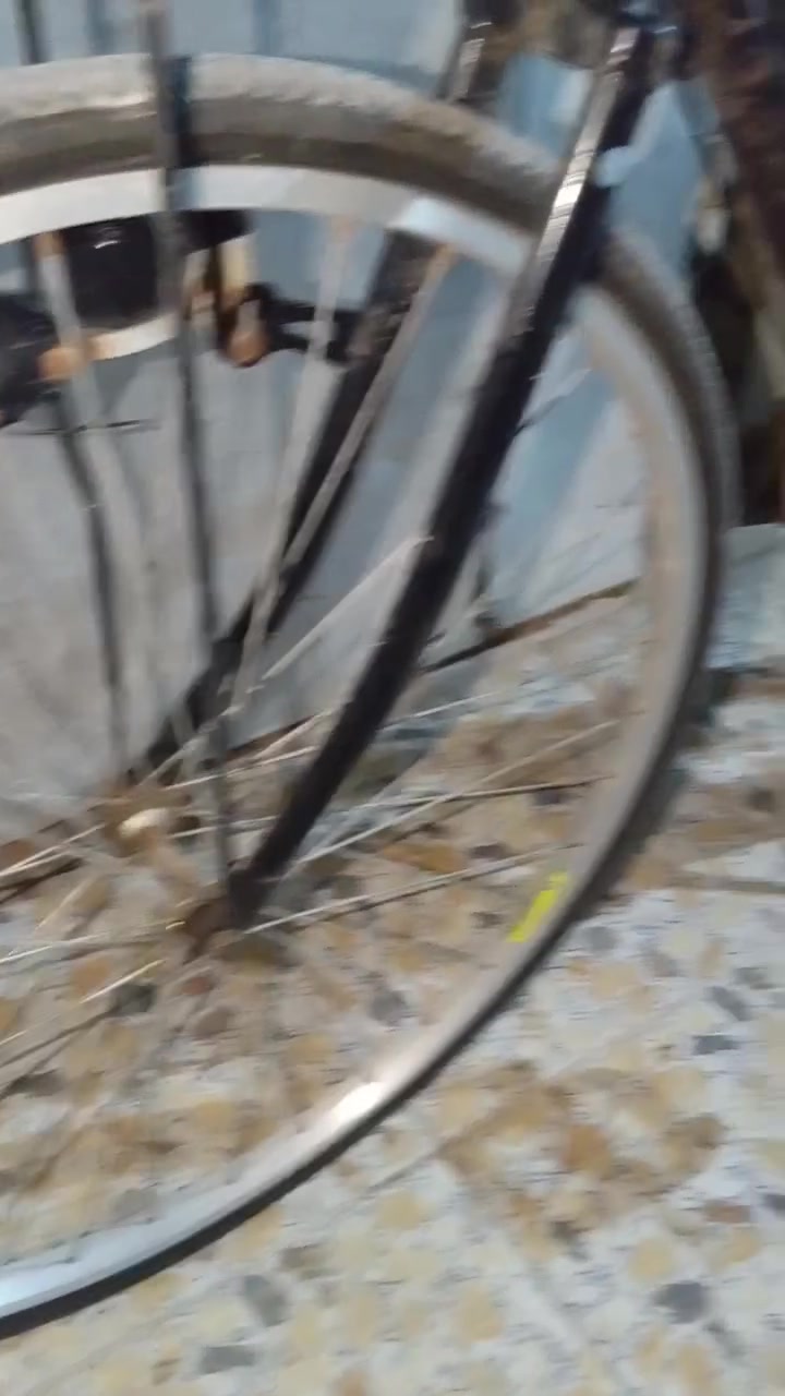 بيسكل • العمارة • للبيع