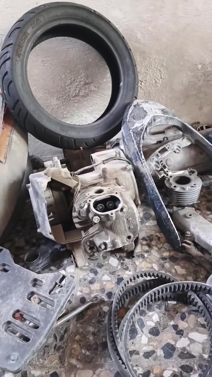 تفصيخ سكنز فحل ونثيه بغداد مدينة الصدر وهذا رقمي ***********
