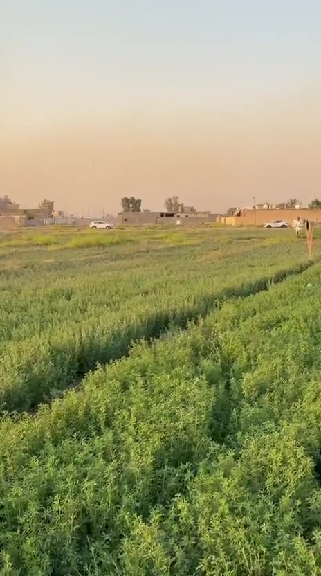 شركة العنزي للعقار 

دوانم البيع طابو سند 25 منطقت دوانم خدمات كامله قرب بيت مدلول بني حجيم منطقه خدمات يباع حسب طلب من 100 متر الحد دونم او اكثر

***********
