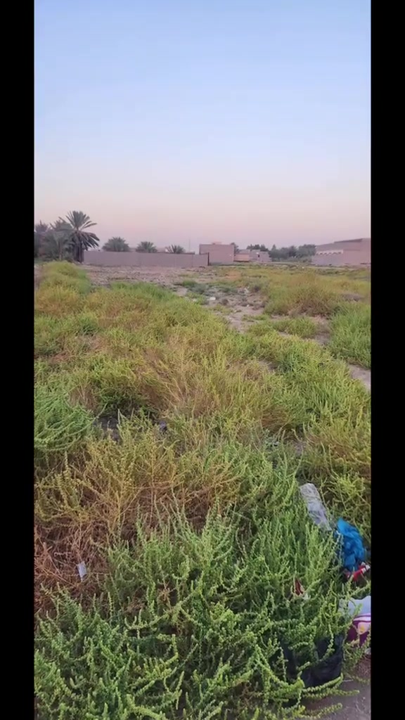 #دونم للبيع المكان كربلاء خلف جامعه فريحه مقابيل مدينه الزائرين طريق كربلاء طويريج ا.  منطقه الثراون   خواني هذا الدونم عن طريق الرئيس مال كربلاء طويريج تقريبا 3 كيلوات خدمات الدونم مي وكهرباء طابوا زراعي سنه 25 تحويل اسهم باسم المشتري واجهه الدونم 25 متر والنزال 100 متر للمعلومات الاتصال على الارقام التاليه
***********
***********
#دونم للبيع المكان كربلاء خلف جامعه فريحه مقابيل مدينه الزائرين طريق كربلاء طويريج ا.  منطقه الثراون   خواني هذا الدونم عن طريق الرئيس مال كربلاء طويريج تقريبا 3 كيلوات خدمات الدونم مي وكهرباء طابوا زراعي سنه 25 تحويل اسهم باسم المشتري واجهه الدونم 25 متر والنزال 100 متر للمعلومات الاتصال على الارقام التاليه
