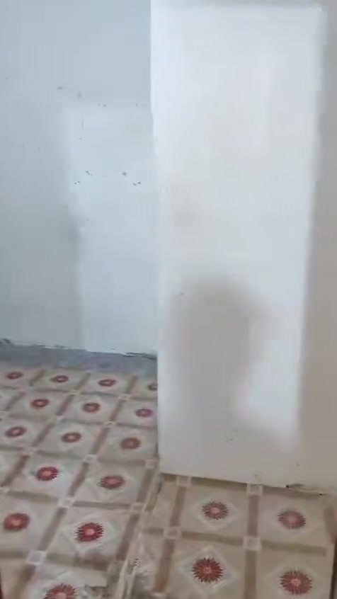 للإيجار
شقه طابق اول بالطويسه  تحتوي على غرفه نوم وصاله ومطبخ وصحيات سعر ايجار 400 قفل شامل كلشي 
***********
