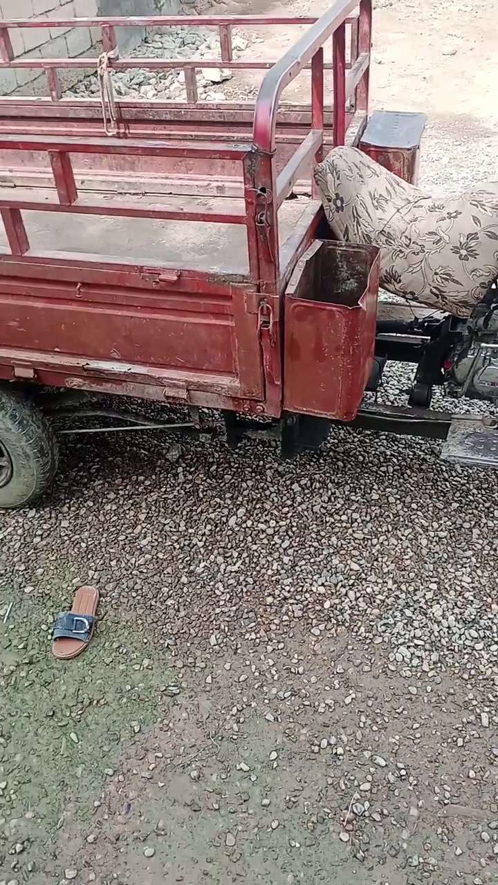 ستوته • دلي عباس
