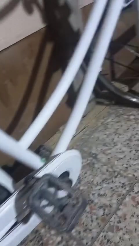 بايسكل • مقاس 26 • ابيض