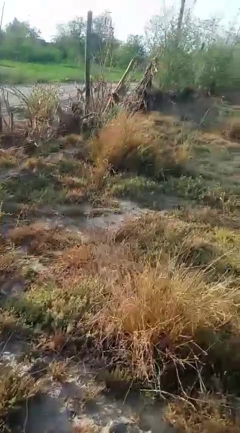 بيت زراعي مع دونم  مع محصار  الارض  مسيجه  كامل  قرب مدرسة الودق  على طريق  الساده الاخوان لمزيد من المعلومات  يمكنكم الاتصال على الرقم ***********
