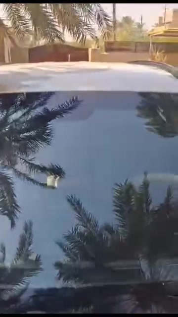للبيع سنتافي خليجي موديل 2018 رقم سليمانية رقم انكليزي الجديد شرط التحويل . محرك دوش 2400 . مكان السيارة بغداد/المدائن / الجعارة. الفيديو توضيحي للسيارة بالكامل. وللمزيد من المعلومات الاتصال بالرقم :
***********
