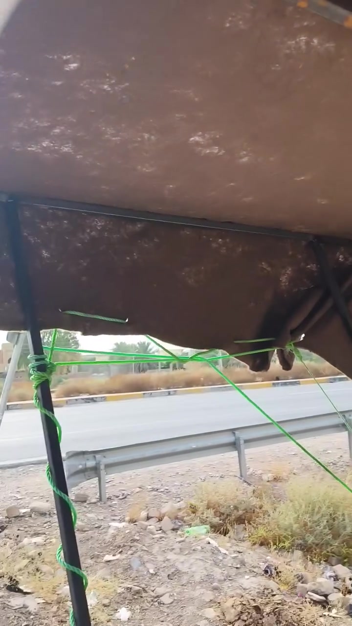 للبيع • مجال بسيط • ديالى الغالبيه القمانيه