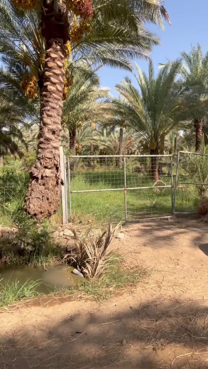 قطعه ارض للبيع مساحه ١٤٠٠م طابو زراعي سند ٢٥ الدوره عرب جبور للستفسار اكثر اتصل ***********
