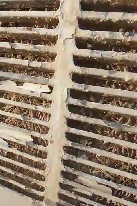 مبرده
