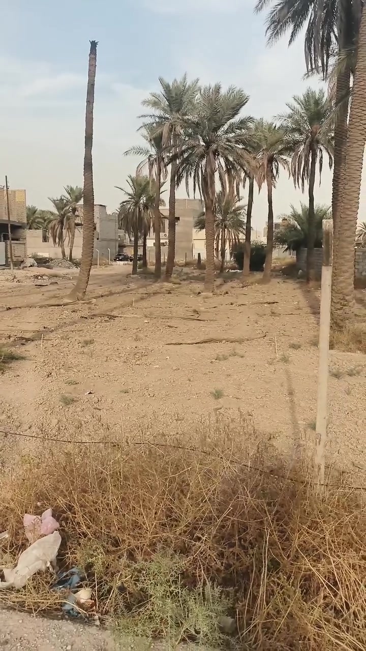 الدورة هور رجب • ١٠٠م • خدمات كاملة