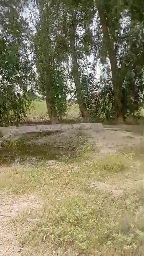 🌴 للبيع أرض مميزة 🌴
إخوان، للبيع 5 دوانم ونص بسمي، سند 25 طابو الفلوجة، منطقة شيخ عامر – سبع البور.

✅ الأرض بيها نخل حم​ال وأنواع مختلفة .
✅ ماء سقي وماء إسالة الكرخ متوفر.
✅ كهرباء موجودة.
✅ ثاني قطعة من الشارع.
✅ قريبة على جامع الإمام الحسن.
✅ تبعد عن الكاظمية تقريباً ربع ساعة.

الأرض مخدومة وجاهزة للزراعة، وتصلح همين للاستثمار وسوي بيها مزرعة أو شاليهات، خصوصاً والمنطقة كلها مزارع وشاليهات.

🔹 البيع من دونم فما فوق.
🔹 الأرض ملك سند ٢٥ طابو الفلوجة وباسمي مباشرة.
*********** ***********
