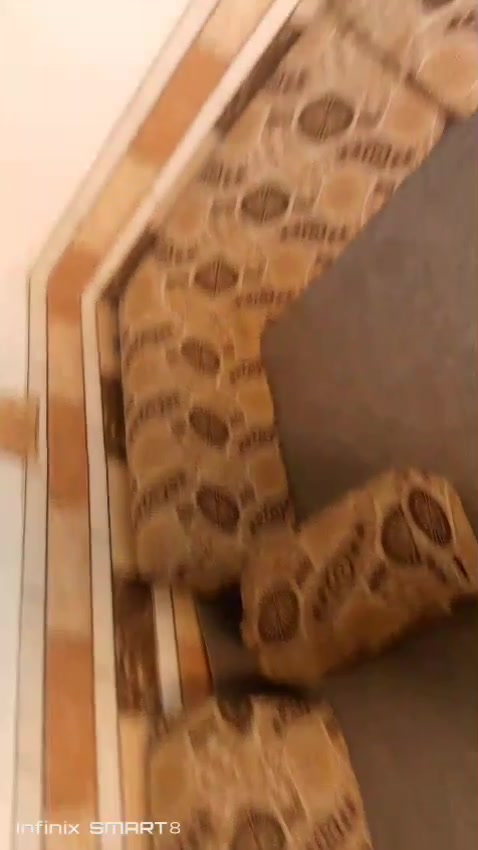 سلام عليكم عندنا جلسه للبيع السعر خاص على هذه رقم ***********موقع السماوه السكك