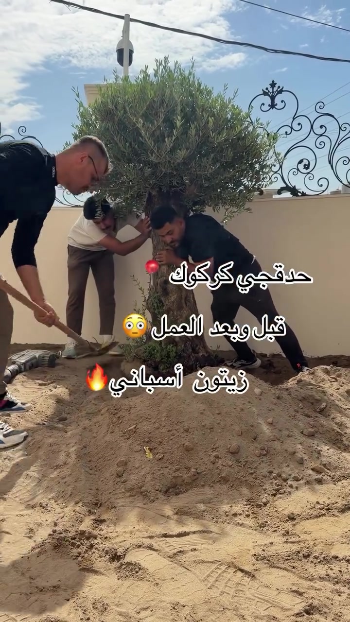 حدقجي • كركوك • ابو سنان