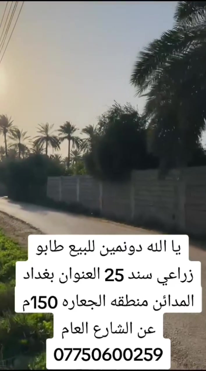بغداد المدائن • دونمين • نخيل