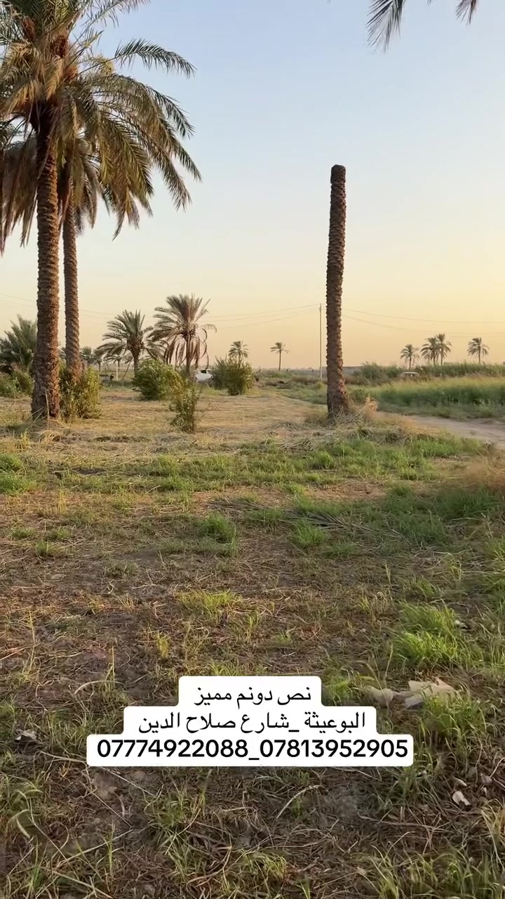 نص دونم على شارع صلاح الدين  #البوعيثة
***********_***********_***********
