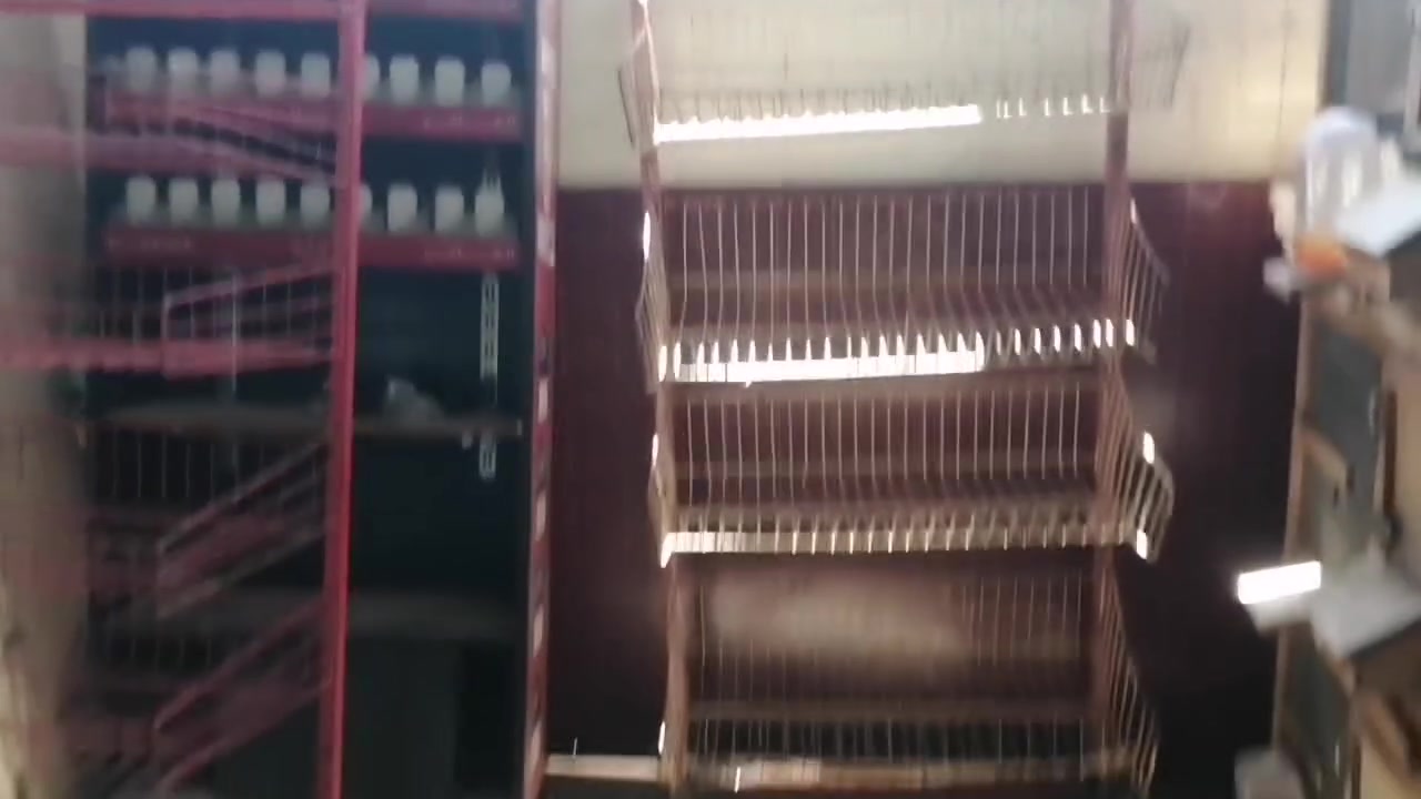 سلات جبس لعدد ٦ وعارظه للبيع بغداد ***********
