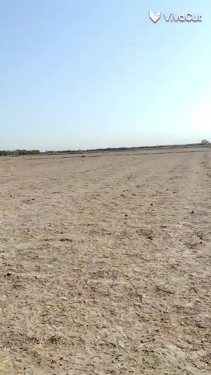 أرض زراعيه • للإيجار • ٦٠ دونم