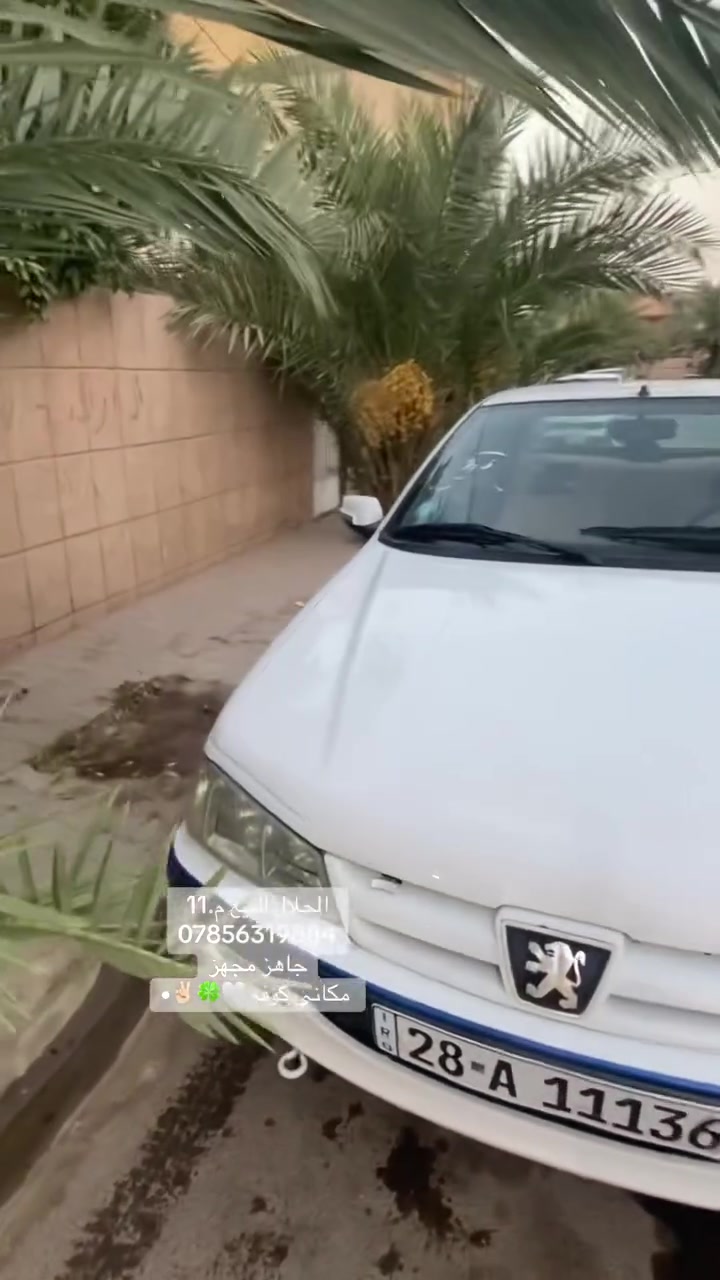 السلام عليكم للبيع بيجو بارص 11 مكينه وكير فرنسي تخم تاير حداديه تبريد دوشمه كله جديد لا تنقيص ولا تبخير مكينه جديده ماعايزه جاهزه مجهزه مكاني كوفه حي ميسان ب 38 وبيها مجال قليل ***********
