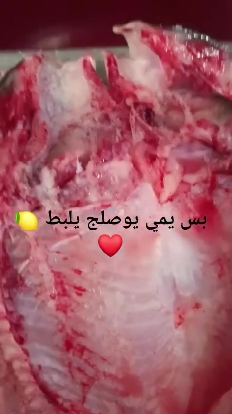 مسكوف يمي غير جربي وتاكدي بنفسج طعم وزن وترتيب ميفشل ويه خطارج وعائلتج كيلو ب8000

سمك تازة يلبط بدمه كيلو5500

دجاج حي ذبح وتنظيف كيلو3500

دجاج شوي مع تمن ومقبلات ب12الف 

افخاذ صدر 6  اجنحه5  مسحب8  رقب الفين  كبد 6

حجز واتساب  توصيل فقط بسمايه 
***********
