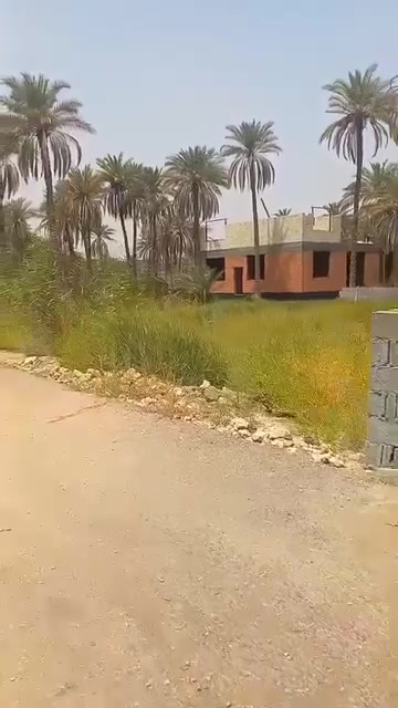شارع السيدة زينب • ٢٠٠م • واجهه ١٨