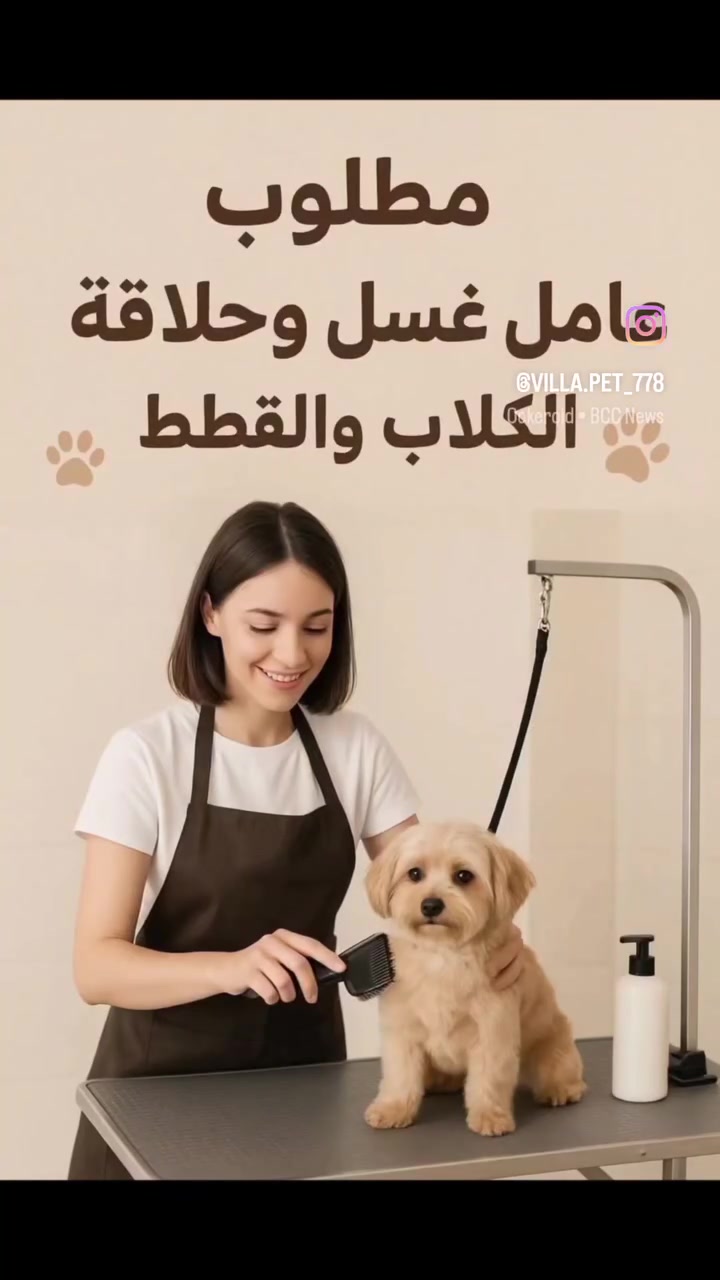 فرصة عمل
مطلوب عامل غسل وحلاقه الكلاب
( بشرط محترف .)
بشرط اقامته وجوازه  جديده . ساكن اربيل حصرآ . 
حسن السيره والسلوك . متوفر منام محترم . و قت العمل من الساعه ١٠ الصبح الى ٩ مساء .  الراتب حسب الاتفاق . 
مشتل villa للحيوانات الاليفة ومستلزماتها
وقت العمل من الساعه ١٠ صباح الى ٩ مساء 
اربيل عنكاوه ١٠٨ وسط شارع المشاتل.
***********
