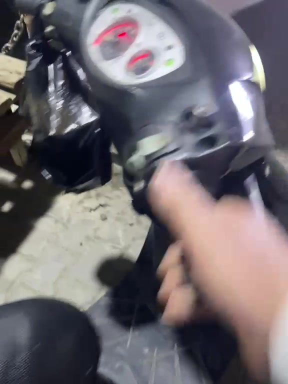ثعلب • شكشكه صوت • شعب