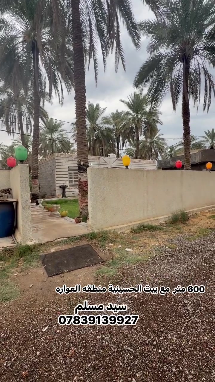 الحسينية العواره • ٦٠٠م • للبيع