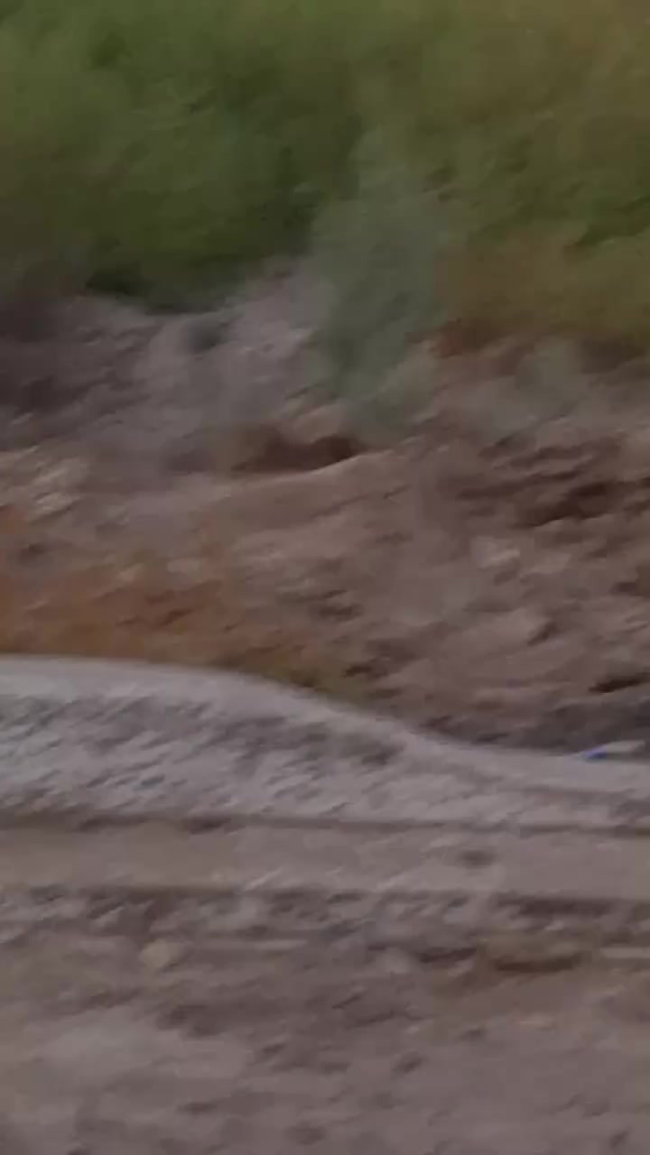 قطعه ارض للبيع بوب الشام مجمع حي السلام مساحه 100,متر طابو زراعي سند 25 بصف الركن مقابل شارع المكاتب للاستفسار مراسله الصفحه او التواصل بالرقم ***********

